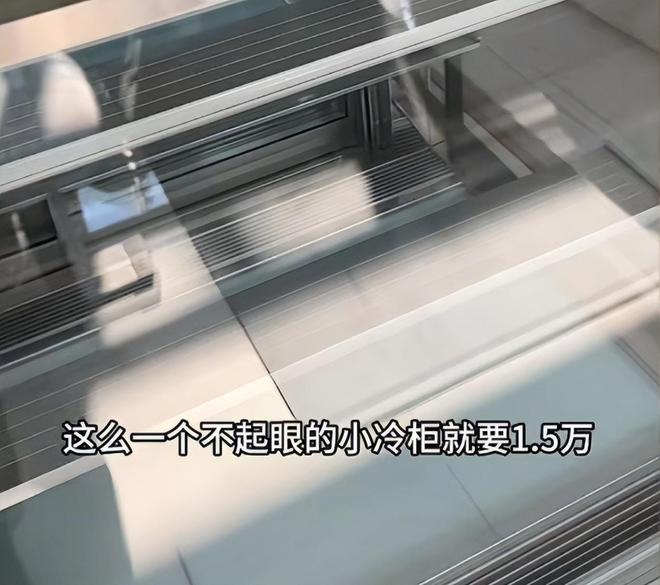 后续曝用有毒物装饰黑料被扒疑惯犯pg电子平台提拉米苏致上百人中毒(图9)